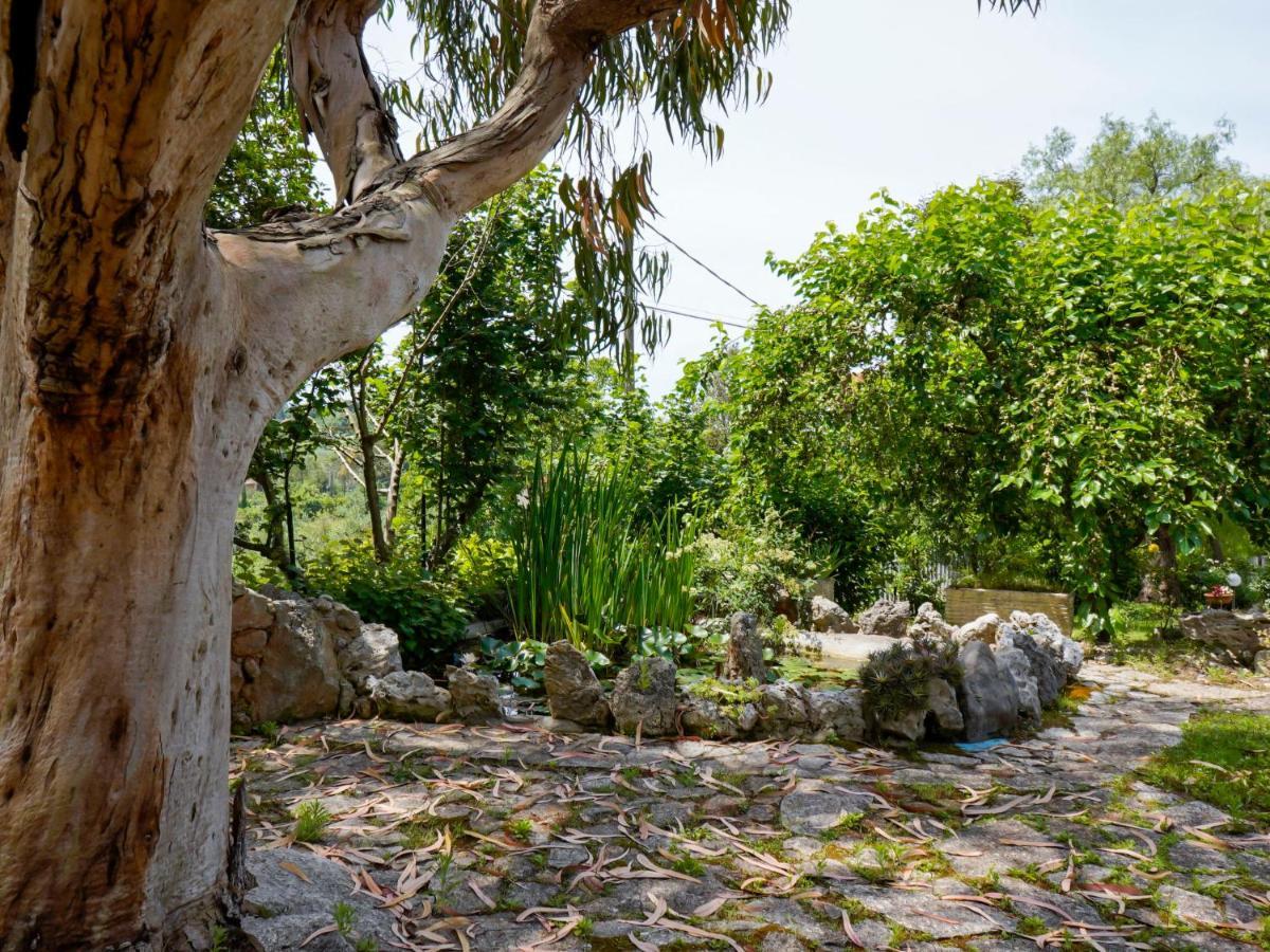 Villa Sunny Home By Interhome Sperlonga Zewnętrze zdjęcie